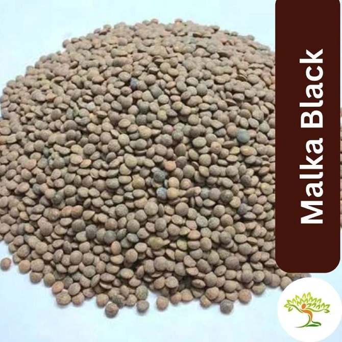 Malka Black Dal 800g