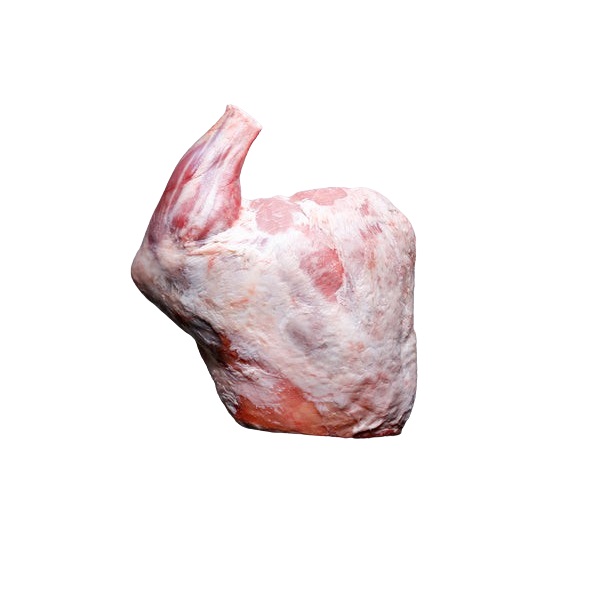 Lamb Shoulder Bone